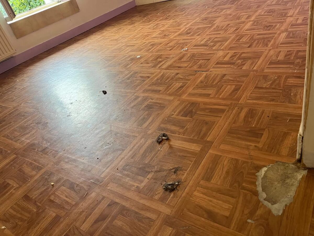 Worn mosaic parquet floor before removal — vinyl tiles lifting, subfloor partially exposed near skirting, Brighton property